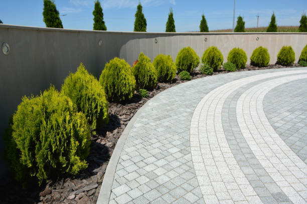 Best Driveway Paving Contractor  in Little River Academy, TX